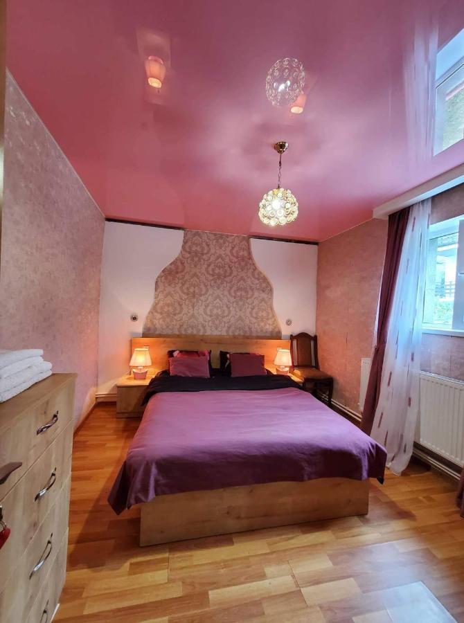 Guest House Elguja Qushashvili Kazbegi Kültér fotó