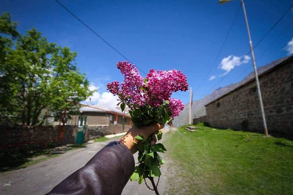 Guest House Elguja Qushashvili Kazbegi Kültér fotó