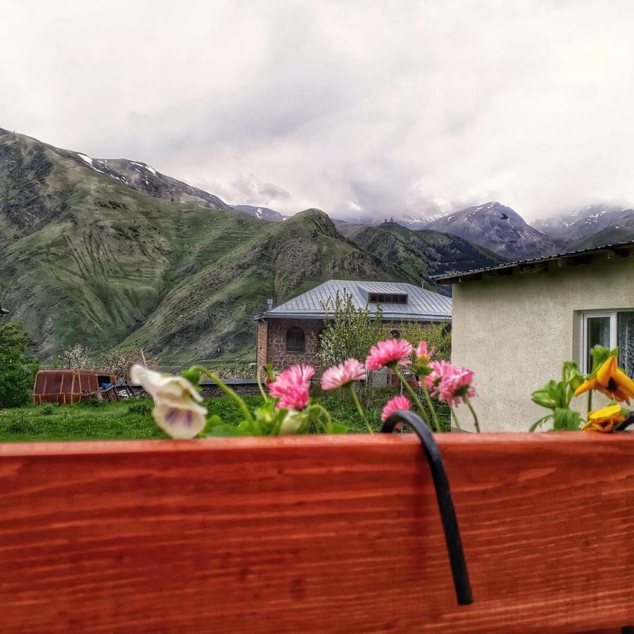 Guest House Elguja Qushashvili Kazbegi Kültér fotó